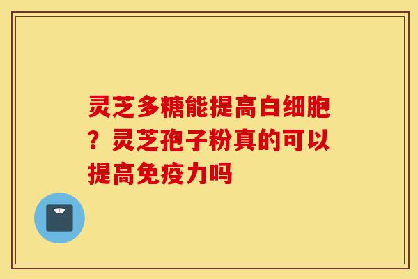 灵芝多糖能提高白细胞？灵芝孢子粉真的可以提高免疫力吗-第1张图片-灵芝之家