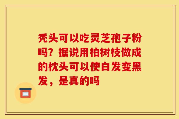 秃头可以吃灵芝孢子粉吗?据说用柏树枝做成的枕头可以使白发变黑发,是真的吗-第1张图片-灵芝之家 秃头可以吃灵芝孢子粉吗?据说用柏树枝做成的枕头可以使白发变黑发,是真的吗-第1张图片-灵芝之家