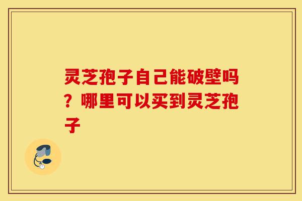 灵芝孢子自己能破壁吗?哪里可以买到灵芝孢子-第1张图片-灵芝之家 灵芝孢子自己能破壁吗?哪里可以买到灵芝孢子-第1张图片-灵芝之家