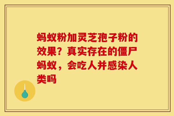 蚂蚁粉加灵芝孢子粉的效果?真实存在的僵尸蚂蚁,会吃人并感染人类吗-第1张图片-灵芝之家 蚂蚁粉加灵芝孢子粉的效果?真实存在的僵尸蚂蚁,会吃人并感染人类吗-第1张图片-灵芝之家
