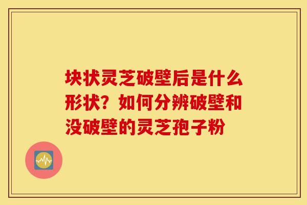 块状灵芝破壁后是什么形状?如何分辨破壁和没破壁的灵芝孢子粉-第1张图片-灵芝之家 块状灵芝破壁后是什么形状?如何分辨破壁和没破壁的灵芝孢子粉-第1张图片-灵芝之家
