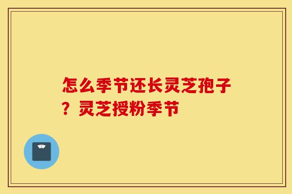 怎么季节还长灵芝孢子?灵芝授粉季节-第1张图片-灵芝之家 怎么季节还长灵芝孢子?灵芝授粉季节-第1张图片-灵芝之家