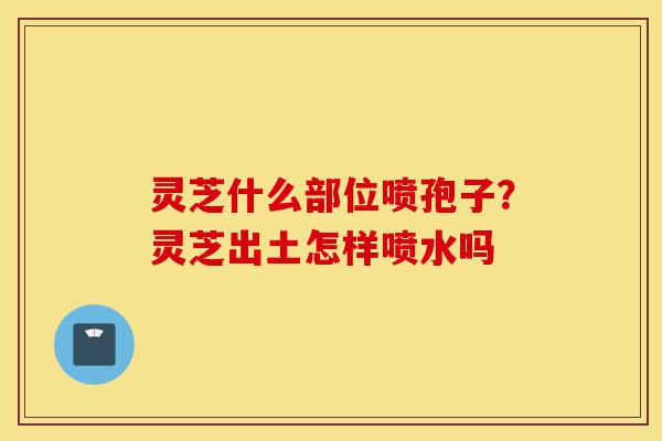 灵芝什么部位喷孢子?灵芝出土怎样喷水吗-第1张图片-灵芝之家 灵芝什么部位喷孢子?灵芝出土怎样喷水吗-第1张图片-灵芝之家