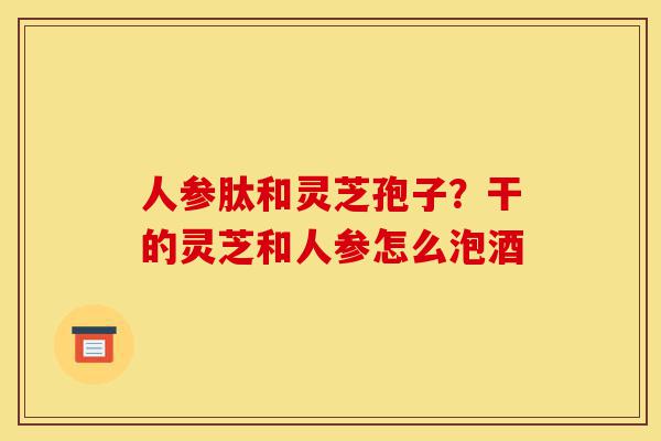 人参肽和灵芝孢子？干的灵芝和人参怎么泡酒-第1张图片-灵芝之家