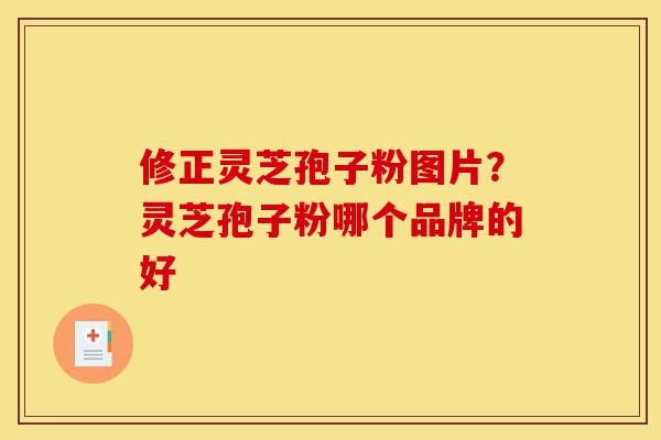 修正灵芝孢子粉图片?灵芝孢子粉哪个品牌的好-第1张图片-灵芝之家 修正灵芝孢子粉图片?灵芝孢子粉哪个品牌的好-第1张图片-灵芝之家