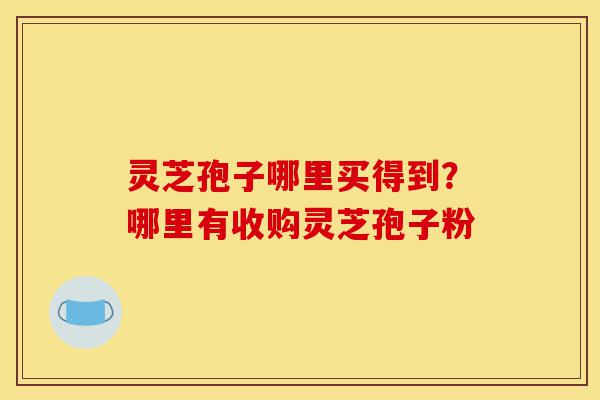 灵芝孢子哪里买得到?哪里有收购灵芝孢子粉-第1张图片-灵芝之家 灵芝孢子哪里买得到?哪里有收购灵芝孢子粉-第1张图片-灵芝之家