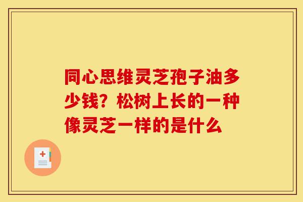 同心思维灵芝孢子油多少钱？松树上长的一种像灵芝一样的是什么-第1张图片-灵芝之家