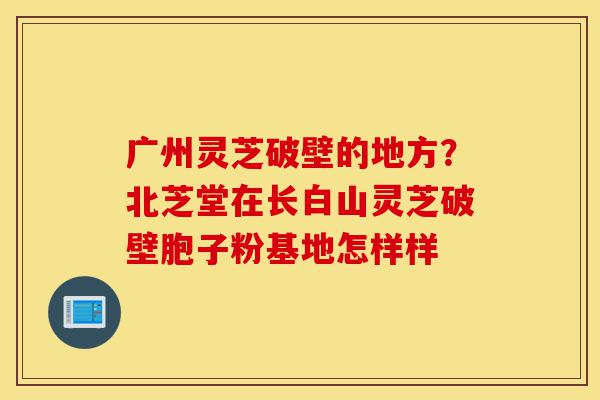 广州灵芝破壁的地方?北芝堂在长白山灵芝破壁胞子粉基地怎样样-第1张图片-灵芝之家 广州灵芝破壁的地方?北芝堂在长白山灵芝破壁胞子粉基地怎样样-第1张图片-灵芝之家