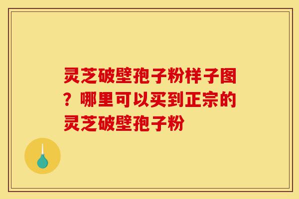 灵芝破壁孢子粉样子图？哪里可以买到正宗的灵芝破壁孢子粉-第1张图片-灵芝之家