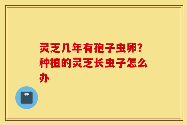 灵芝几年有孢子虫卵?种植的灵芝长虫子怎么办-第1张图片-灵芝之家 灵芝几年有孢子虫卵?种植的灵芝长虫子怎么办-第1张图片-灵芝之家