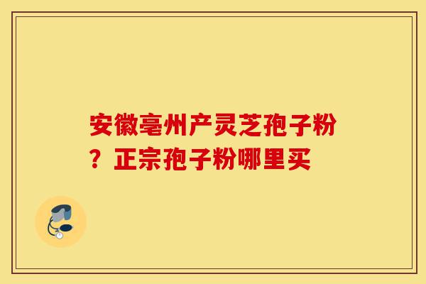 安徽亳州产灵芝孢子粉？正宗孢子粉哪里买-第1张图片-灵芝之家
