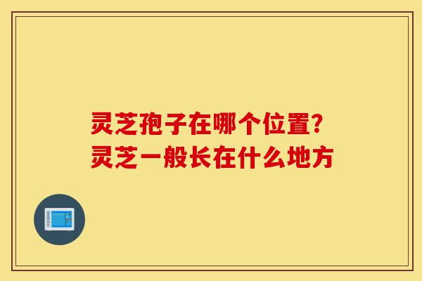 灵芝孢子在哪个位置?灵芝一般长在什么地方-第1张图片-灵芝之家 灵芝孢子在哪个位置?灵芝一般长在什么地方-第1张图片-灵芝之家