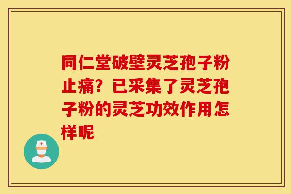 同仁堂破壁灵芝孢子粉止痛?已采集了灵芝孢子粉的灵芝功效作用怎样呢-第1张图片-灵芝之家 同仁堂破壁灵芝孢子粉止痛?已采集了灵芝孢子粉的灵芝功效作用怎样呢-第1张图片-灵芝之家