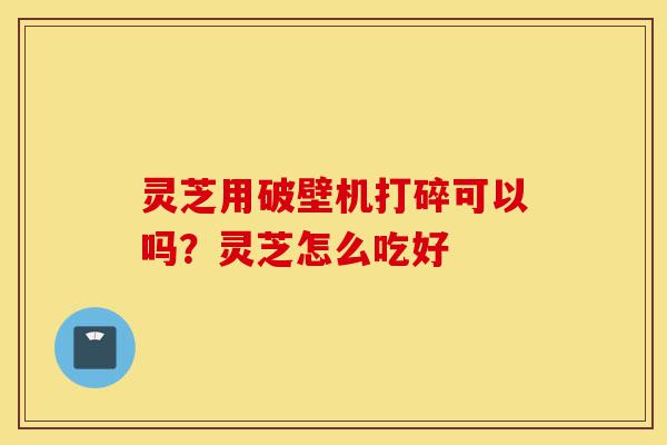 灵芝用破壁机打碎可以吗?灵芝怎么吃好-第1张图片-灵芝之家 灵芝用破壁机打碎可以吗?灵芝怎么吃好-第1张图片-灵芝之家