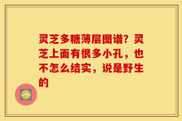 灵芝多糖薄层图谱?灵芝上面有很多小孔,也不怎么结实,说是野生的-第1张图片-灵芝之家 灵芝多糖薄层图谱?灵芝上面有很多小孔,也不怎么结实,说是野生的-第1张图片-灵芝之家