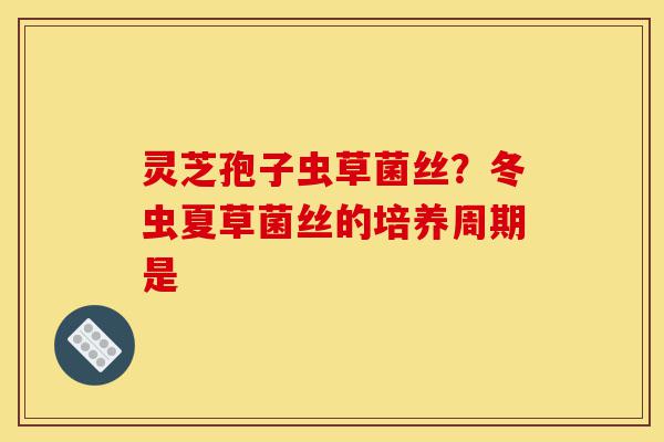 灵芝孢子虫草菌丝？冬虫夏草菌丝的培养周期是-第1张图片-灵芝之家