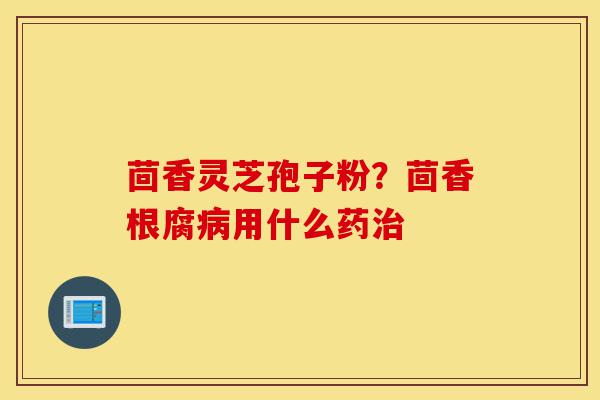 茴香灵芝孢子粉？茴香根腐病用什么药治-第1张图片-灵芝之家