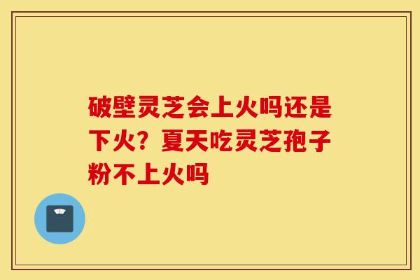 破壁灵芝会上火吗还是下火?夏天吃灵芝孢子粉不上火吗-第1张图片-灵芝之家 破壁灵芝会上火吗还是下火?夏天吃灵芝孢子粉不上火吗-第1张图片-灵芝之家