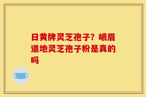 日黄牌灵芝孢子？峨眉道地灵芝孢子粉是真的吗-第1张图片-灵芝之家