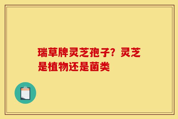 瑞草牌灵芝孢子？灵芝是植物还是菌类-第1张图片-灵芝之家