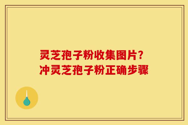 灵芝孢子粉收集图片?冲灵芝孢子粉正确步骤-第1张图片-灵芝之家 灵芝孢子粉收集图片?冲灵芝孢子粉正确步骤-第1张图片-灵芝之家