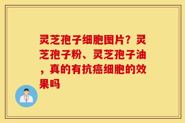 灵芝孢子细胞图片?灵芝孢子粉、灵芝孢子油,真的有抗癌细胞的效果吗-第1张图片-灵芝之家 灵芝孢子细胞图片?灵芝孢子粉、灵芝孢子油,真的有抗癌细胞的效果吗-第1张图片-灵芝之家