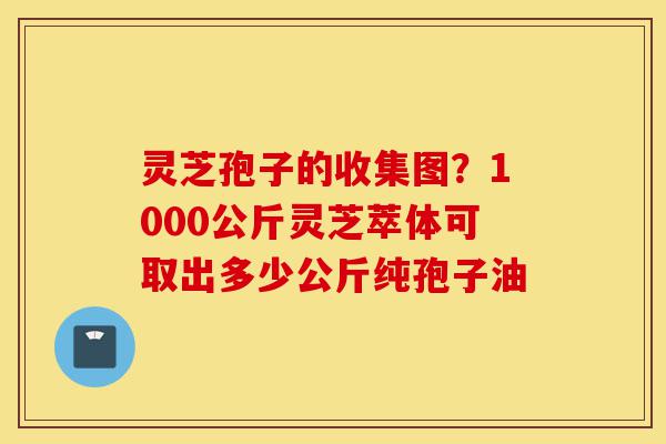 灵芝孢子的收集图?1000公斤灵芝萃体可取出多少公斤纯孢子油-第1张图片-灵芝之家 灵芝孢子的收集图?1000公斤灵芝萃体可取出多少公斤纯孢子油-第1张图片-灵芝之家