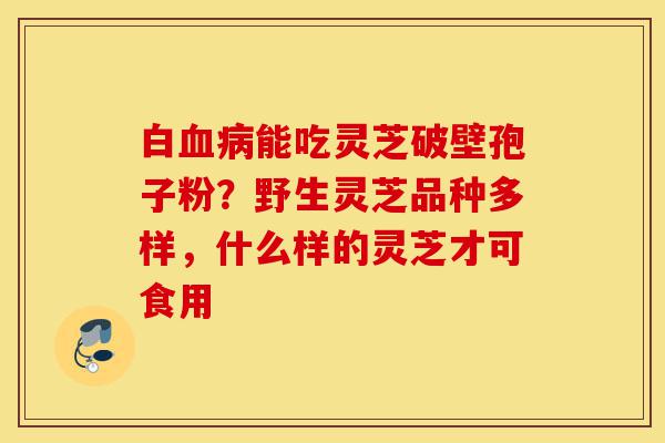 白血病能吃灵芝破壁孢子粉?野生灵芝品种多样,什么样的灵芝才可食用-第1张图片-灵芝之家 白血病能吃灵芝破壁孢子粉?野生灵芝品种多样,什么样的灵芝才可食用-第1张图片-灵芝之家
