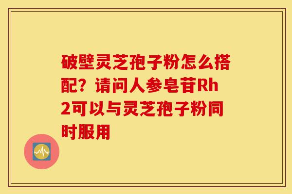 破壁灵芝孢子粉怎么搭配?请问人参皂苷Rh2可以与灵芝孢子粉同时服用-第1张图片-灵芝之家 破壁灵芝孢子粉怎么搭配?请问人参皂苷Rh2可以与灵芝孢子粉同时服用-第1张图片-灵芝之家