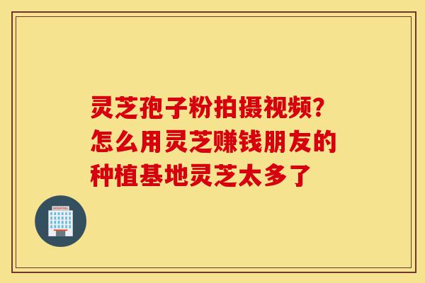 灵芝孢子粉拍摄视频?怎么用灵芝赚钱朋友的种植基地灵芝太多了-第1张图片-灵芝之家 灵芝孢子粉拍摄视频?怎么用灵芝赚钱朋友的种植基地灵芝太多了-第1张图片-灵芝之家
