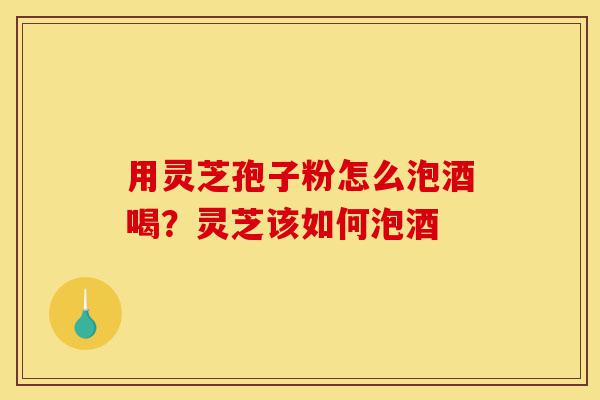 用灵芝孢子粉怎么泡酒喝？灵芝该如何泡酒-第1张图片-灵芝之家