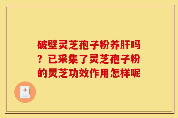破壁灵芝孢子粉养肝吗?已采集了灵芝孢子粉的灵芝功效作用怎样呢-第1张图片-灵芝之家 破壁灵芝孢子粉养肝吗?已采集了灵芝孢子粉的灵芝功效作用怎样呢-第1张图片-灵芝之家