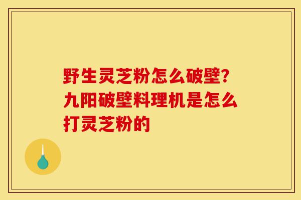 野生灵芝粉怎么破壁?九阳破壁料理机是怎么打灵芝粉的-第1张图片-灵芝之家 野生灵芝粉怎么破壁?九阳破壁料理机是怎么打灵芝粉的-第1张图片-灵芝之家