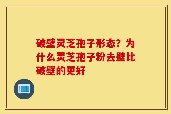 破壁灵芝孢子形态?为什么灵芝孢子粉去壁比破壁的更好-第1张图片-灵芝之家 破壁灵芝孢子形态?为什么灵芝孢子粉去壁比破壁的更好-第1张图片-灵芝之家