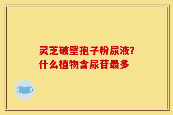灵芝破壁孢子粉尿液?什么植物含尿苷最多-第1张图片-灵芝之家 灵芝破壁孢子粉尿液?什么植物含尿苷最多-第1张图片-灵芝之家
