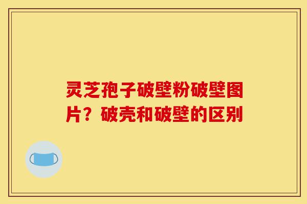 灵芝孢子破壁粉破壁图片?破壳和破壁的区别-第1张图片-灵芝之家 灵芝孢子破壁粉破壁图片?破壳和破壁的区别-第1张图片-灵芝之家