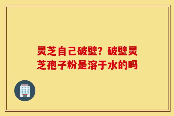 灵芝自己破壁?破壁灵芝孢子粉是溶于水的吗-第1张图片-灵芝之家 灵芝自己破壁?破壁灵芝孢子粉是溶于水的吗-第1张图片-灵芝之家