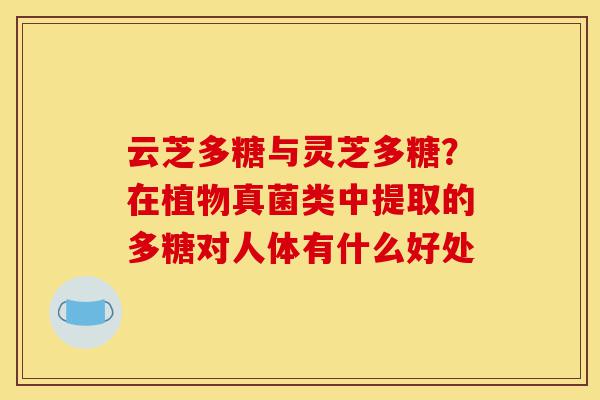云芝多糖与灵芝多糖?在植物真菌类中提取的多糖对人体有什么好处-第1张图片-灵芝之家 云芝多糖与灵芝多糖?在植物真菌类中提取的多糖对人体有什么好处-第1张图片-灵芝之家
