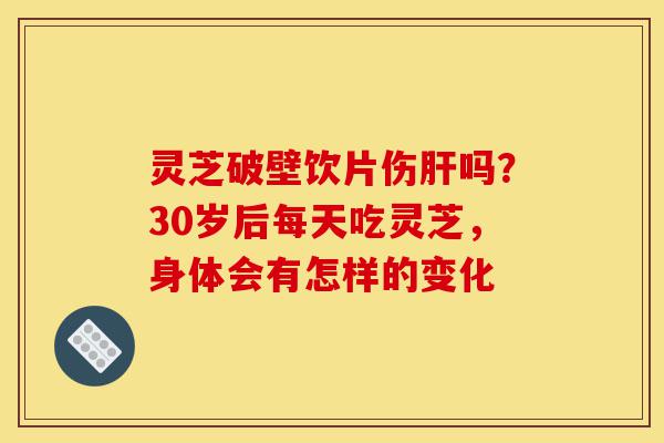 灵芝破壁饮片伤肝吗？30岁后每天吃灵芝，身体会有怎样的变化-第1张图片-灵芝之家