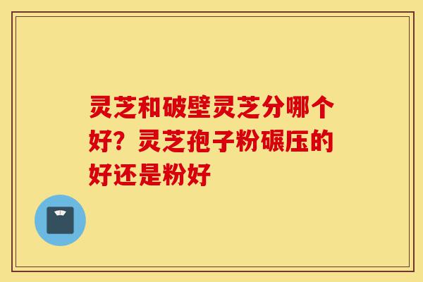 灵芝和破壁灵芝分哪个好?灵芝孢子粉碾压的好还是粉好-第1张图片-灵芝之家 灵芝和破壁灵芝分哪个好?灵芝孢子粉碾压的好还是粉好-第1张图片-灵芝之家
