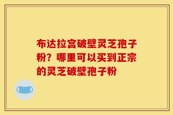布达拉宫破壁灵芝孢子粉?哪里可以买到正宗的灵芝破壁孢子粉-第1张图片-灵芝之家 布达拉宫破壁灵芝孢子粉?哪里可以买到正宗的灵芝破壁孢子粉-第1张图片-灵芝之家