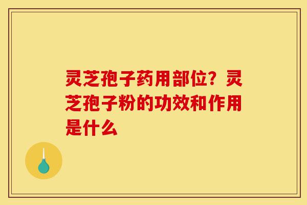 灵芝孢子药用部位?灵芝孢子粉的功效和作用是什么-第1张图片-灵芝之家 灵芝孢子药用部位?灵芝孢子粉的功效和作用是什么-第1张图片-灵芝之家
