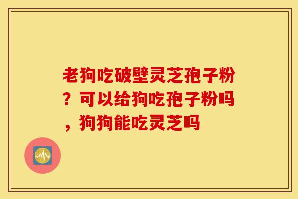 老狗吃破壁灵芝孢子粉?可以给狗吃孢子粉吗,狗狗能吃灵芝吗-第1张图片-灵芝之家 老狗吃破壁灵芝孢子粉?可以给狗吃孢子粉吗,狗狗能吃灵芝吗-第1张图片-灵芝之家