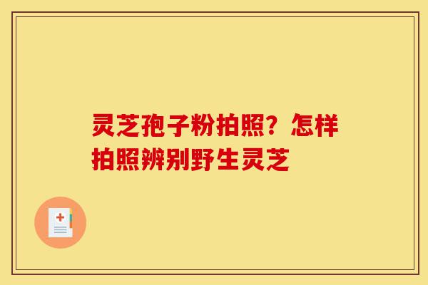 灵芝孢子粉拍照？怎样拍照辨别野生灵芝-第1张图片-灵芝之家
