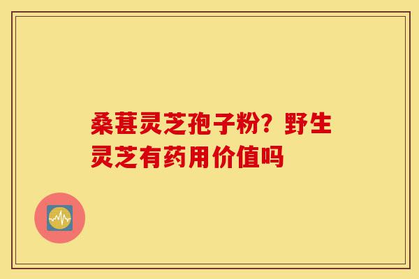 桑葚灵芝孢子粉?野生灵芝有药用价值吗-第1张图片-灵芝之家 桑葚灵芝孢子粉?野生灵芝有药用价值吗-第1张图片-灵芝之家