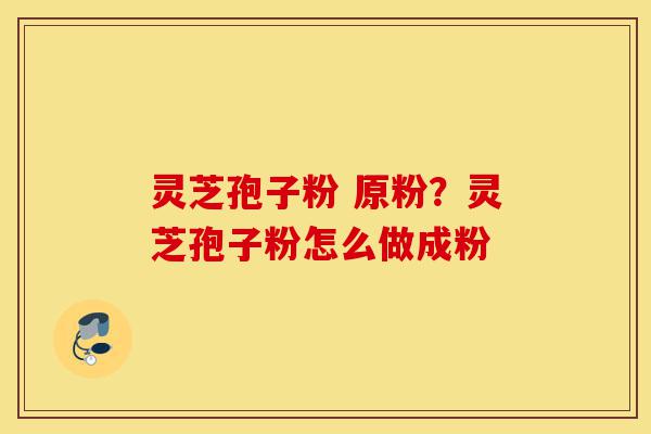 灵芝孢子粉 原粉？灵芝孢子粉怎么做成粉-第1张图片-灵芝之家
