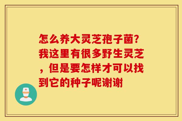 怎么养大灵芝孢子菌?我这里有很多野生灵芝,但是要怎样才可以找到它的种子呢谢谢-第1张图片-灵芝之家 怎么养大灵芝孢子菌?我这里有很多野生灵芝,但是要怎样才可以找到它的种子呢谢谢-第1张图片-灵芝之家