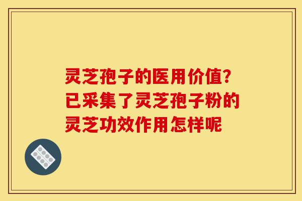 灵芝孢子的医用价值？已采集了灵芝孢子粉的灵芝功效作用怎样呢-第1张图片-灵芝之家