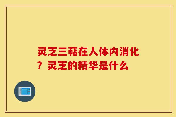 灵芝三萜在人体内消化?灵芝的精华是什么-第1张图片-灵芝之家 灵芝三萜在人体内消化?灵芝的精华是什么-第1张图片-灵芝之家