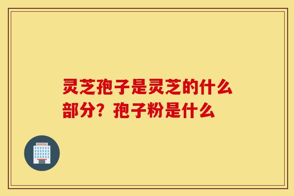 灵芝孢子是灵芝的什么部分？孢子粉是什么-第1张图片-灵芝之家